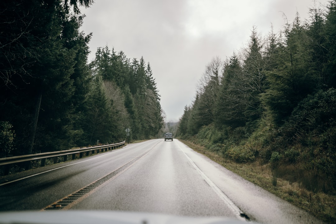 Unconventional Eco-Friendly Travel Tips for the Nature Enthusiast