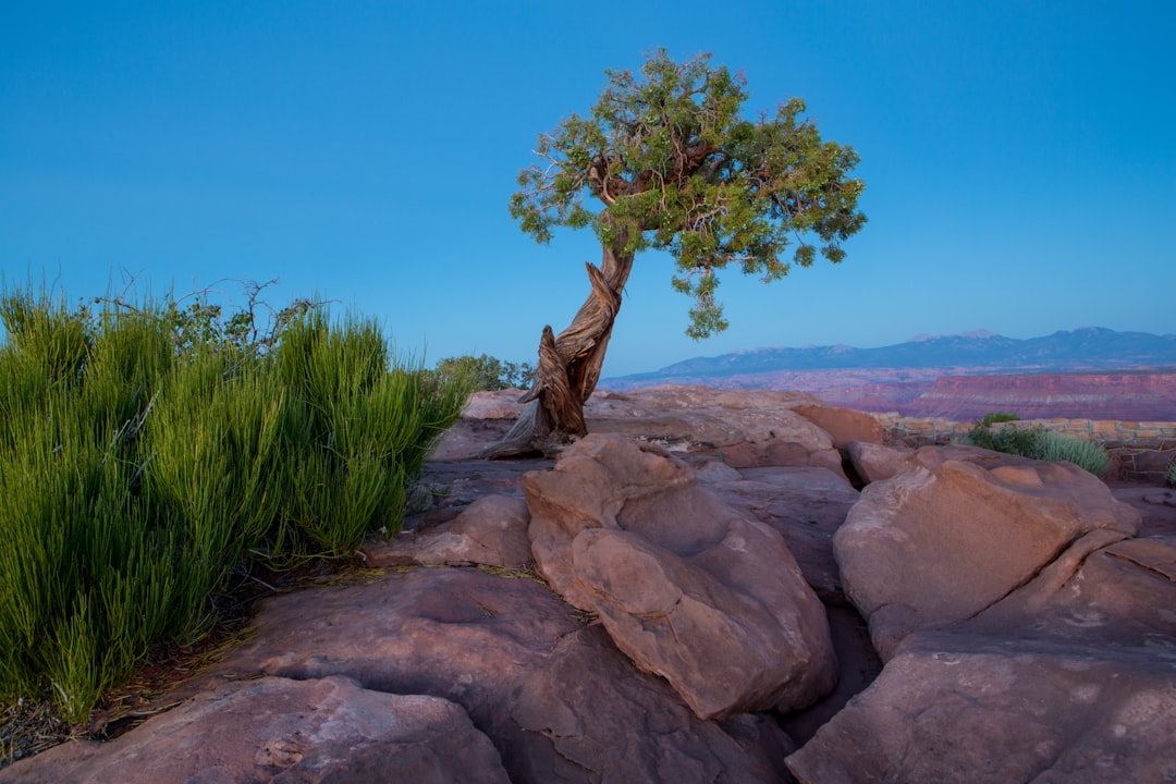 The Art of Solo Travel: Embracing Adventures in the Great Outdoors